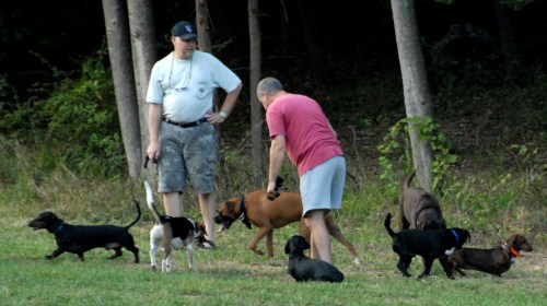 Central Dog Park 033