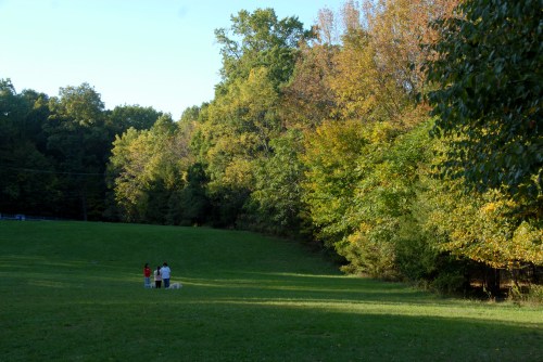 Central Dog Park in the Afternoon 042